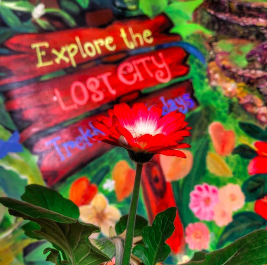 Hostel Santa Marta エクステリア 写真